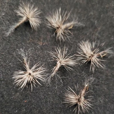 FRONTIER FLY COMPANY CALLIBAETIS TROUT DRY FLY SIZE 18 STACKER SPARKLE DUN FRONTIER FISHING FLIES