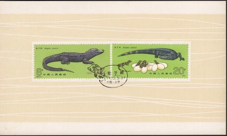 КИТАЙ КНР, 1982. Папка первого дня T85, аллигатор - Изображение 1 из 1