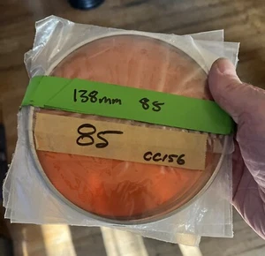 CC156 Coral Glass 5 1/2” Stage Lighting Filter / Lens. Metal Frame - Picture 1 of 2