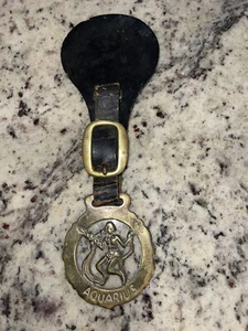 Vintage Horse Brass Decororation Unique Zodiac Aquarius - Picture 1 of 5