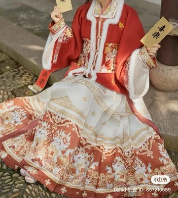 Traje Tradicional Chino Hanfu Rojo Bordado Año Nuevo - Estilo Dinastía Ming Foto 1 de 4