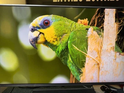 Phillips Smart Tv Ambelight .  Model No 43pus9235 With Sound Bowers And Wilkins - Image 1 of 4