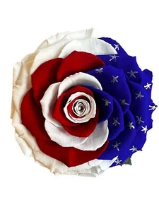 Preserved rose with USA flag - Picture 1 of 9