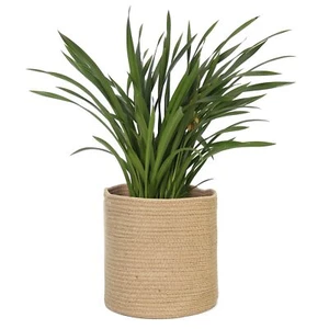 Woven Jute Plant Basket for 10" Pot Rustic Storage Bin 11"x11" - Picture 1 of 7