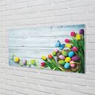 Tulup Acrylglas 140X70 Wandkunst Eier Tulpen Schmetterling