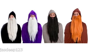 Wizard Long Merlin Gandalf Fancy Dress Beards Halloween Fancy Dress Accessory - Picture 1 of 5