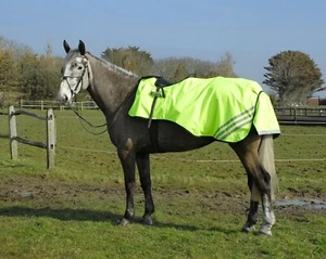 RIDE ON HI-VIZ RUG, EXERCISE SHEET, HIGH VISABILITY FLUORESCENT RUG *FREE POST* - Picture 1 of 2