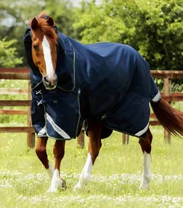 Premier Equine Titan 40g Turnout Rug with Snug-Fit Neck Cover - Picture 1 of 6