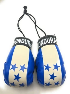 Country Flag Mini Boxing Gloves - New, One Pair, Multiple Countries Available - Picture 1 of 158