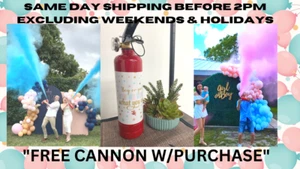 Gender Reveal extinguisher color blaster - Picture 1 of 10