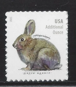 US Stamps 2021 Scott #5544 20 cent Brush Rabbit, single.  MNH-VF - Picture 1 of 1