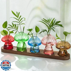 Vermehrungsstation aus Glas für Pflanzen: Pilzübertopf mit Holz - Bild 1 von 5