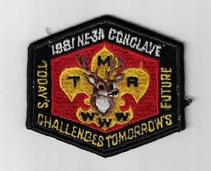 1991 OA Conclave NE3A Today's Challenges Tomorrows Future BLK Bdr. [CLV-1408] - Picture 1 of 1