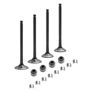 Intake & Exhaust Valves with Seals For Polaris ATV UTV 3085349 3084905 3085412 - Picture 1 of 6