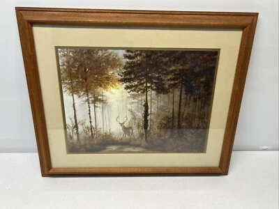 Джеральд Коулсон в рамке печати "Тихий лес" олень дикой природы 22 x 18 - Изображение 1 из 4