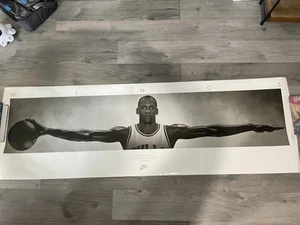 Michael Jordan Vintage Nike Wings Wingspan OG Poster - 24x72 - Bild 1 von 16