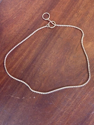 Rose Gold Dog Chain  - Image 1 of 4