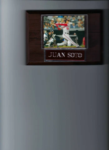 JUAN SOTO PLAQUE BASEBALL WASHINGTON NATIONALS MLB Cover
