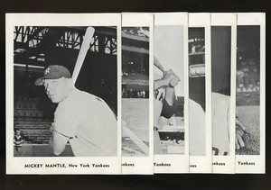 1961 New York Yankees Team Issue Photo Picture Pack Set & Envelope - Picture 1 of 2