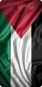 90x180cm Palestine Flag Gaza Polyester Large Unique Design Decor Outdoor FreeDOM - Picture 1 of 5