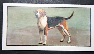 More details for foxhound   vintage portrait card  cd25