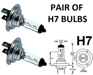 Paire Phare Ampoules Complet Ou Trempé Faisceau H7 499 477 12v 55w Pour Lancia - Picture 1 of 1
