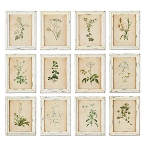 Arte de pared vintage Cottagecore - Juego de 12 flores silvestres enmarcadas - Imagen 1 de 6