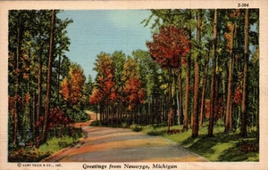 POSTAL SALUDOS DESDE NEWAYGO MICHIGAN - Imagen 1 de 2