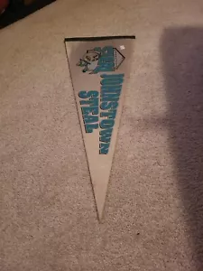 Nice Vintage Johnstown Steal Baseball Pennant - Picture 1 of 3