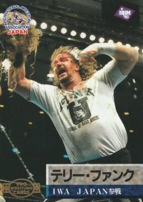 Terry Funk 1995 BBM Pro Wrestling #119 - Image 1 of 2