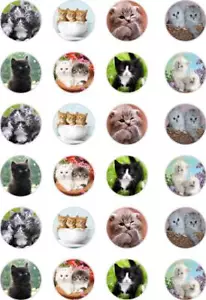 24x PRECUT CUTE KITTENS/CATS/TABBY/PETS/ANIMAL RICE/WAFER PAPER CUP CAKE TOPPERS - Picture 1 of 1