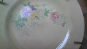 Vtg Edwin Knowles China Co Semi-Vitreous USA Made Small Plate w/Crazing All Over - Picture 1 of 24