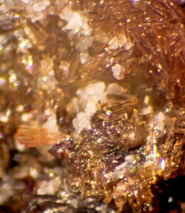 Allactite: (Type Locality) Nordmark, Sweden, Micromount, ex-Desautels ! - Picture 1 of 5