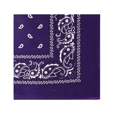 Bandana 100% Algodón Estampado Paisley Bufanda Envoltura para la Cabeza Cuello Diadema para Hombres y Mujeres Foto 1 de 4