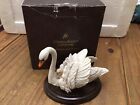 Country Artists CA505 Swan And Cygnet Boxed