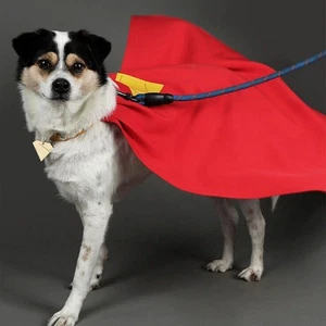 Anime Superman Superdog Krypto Cosplay Cloak Dog Pet Cape New Halloween - Picture 1 of 15