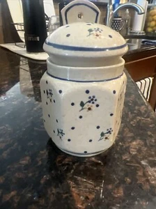 Rare Boleslawiec Polish Pottery Hanging Salt Box County Meadow Pattern - Picture 1 of 5