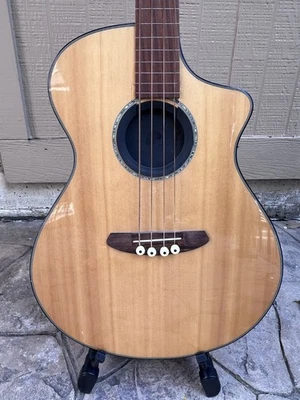 Bajo acústico Breedlove / luthier - ¡¡leer!!! Foto 1 de 4