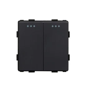 2-Fach Taster Serientaster Impulstaster Kipptaster Wipptaster Modul Schwarz - Bild 1 von 3