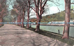 R366456 Kork The Marina Emerald Serie - Bild 1 von 4