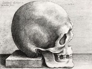 Human Skull by Leonardo da Vinci, 1645 Wall Art Drawing Dark Print A3 A4
