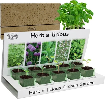 Herb Seeds | Grow Your Own Kitchen Herb Garden Kit | Gardening Gifts - Image 1 of 4