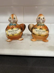 Vintage Salt and Pepper Shaker Beaver Dam Anthropomorphic Kitschy - Picture 1 of 5