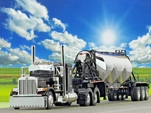 1/64 DCP PETERBILT 379 36" BUNK  & HEIL PNEUMATIC TRAILER - Picture 1 of 7