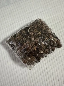 250pcs Mini Christmas Pine Cones, Wedding Decor, New - Picture 1 of 3