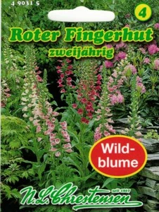 Roter Fingerhut Solitärpflanze farbenpräch 'Digitalis purpurea' Wildblume 490315 - Bild 1 von 2