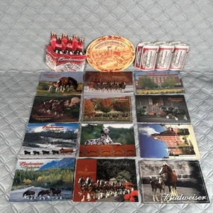 Lot Of 15 Saint Louis Clydesdales  Budweiser wagon Horses 6x4  Postcard - Picture 1 of 10
