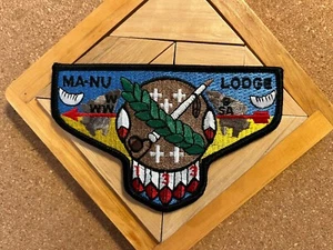 Colorful flap from Lodge 133 - Picture 1 of 2