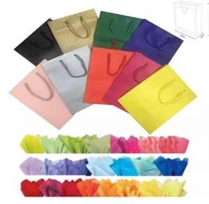 MATT LAMINATED PARTY GIFT BAGS MEDIUM ~ BIRTHDAY PRESENT BAG PLUS 2 TISSUE PAPER - Picture 1 of 11