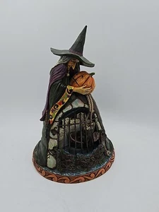 Jim Shore Heartwood Creek 2008 "SPELLBOUND" FIGUR #4012601 nicht mehr produziert 10" mit Box - Bild 1 von 6